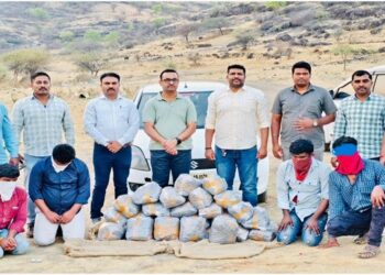 ७२ किलो गांजासह चौघांना अटक; १९ लाखांचा मुद्देमाल जप्त पुणे शहर पोलिसांनची कारवाई