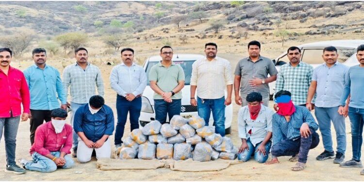 ७२ किलो गांजासह चौघांना अटक; १९ लाखांचा मुद्देमाल जप्त पुणे शहर पोलिसांनची कारवाई