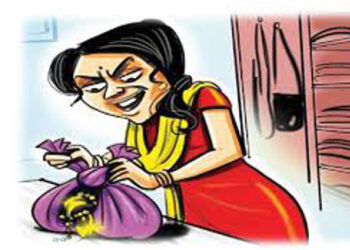 बाणेर लिंक रोड परिसरात घरकाम करणाऱ्या महिलेने रोख रक्कम व सोन्याचे दागिने लंपास; चतु:श्रांगी पोलिसांत गुन्हा दाखल