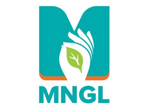 पुण्यात CNG दरात 2 रुपयांची वाढ; आता प्रतिकिलो 97.75 रुपये